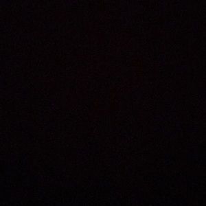 Meet your Posher, Trevor